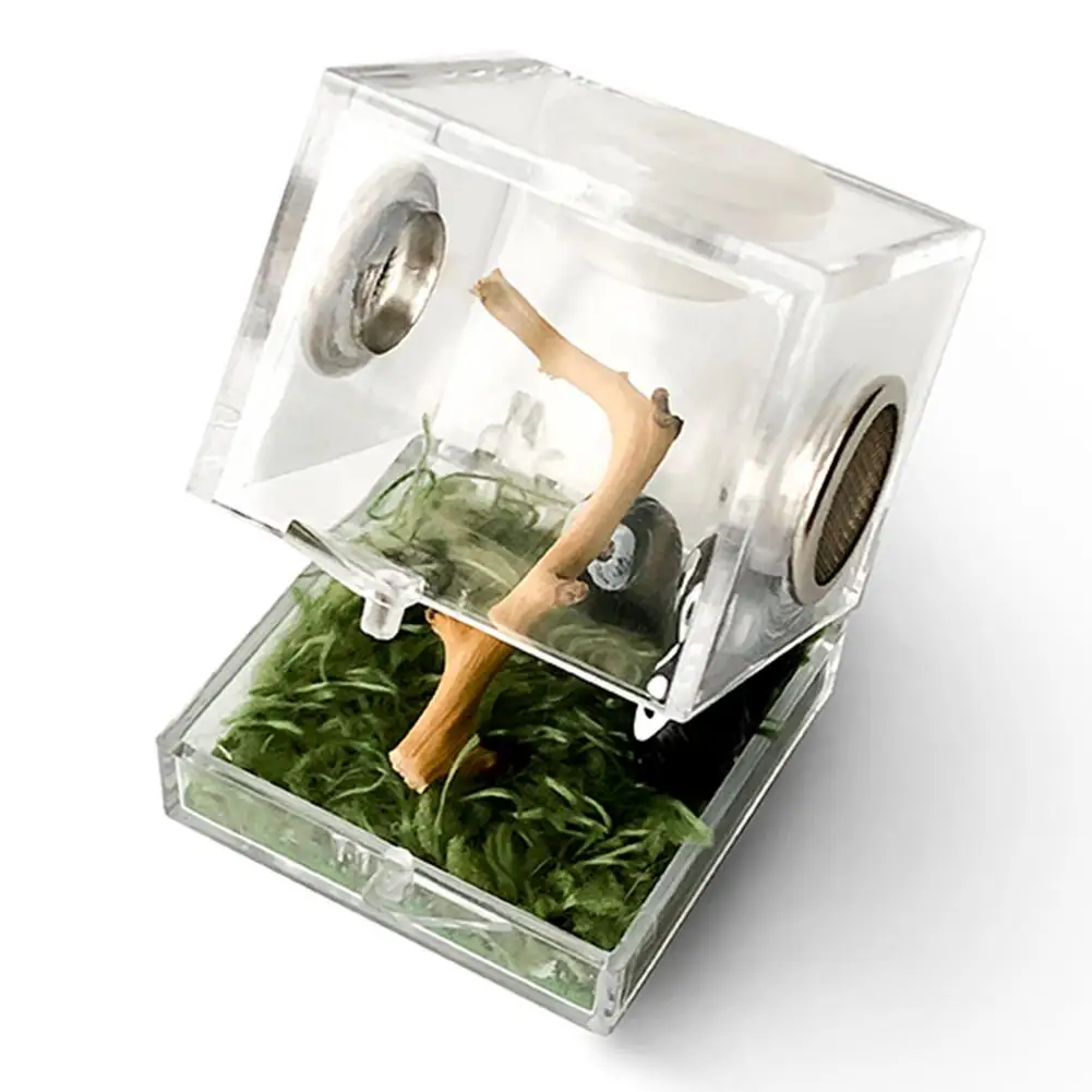 Acrylic Reptile Breeding Box Transparent Spider Lizard Scorpion Insect Breathable Ecological Box Terrarium Breeding Box