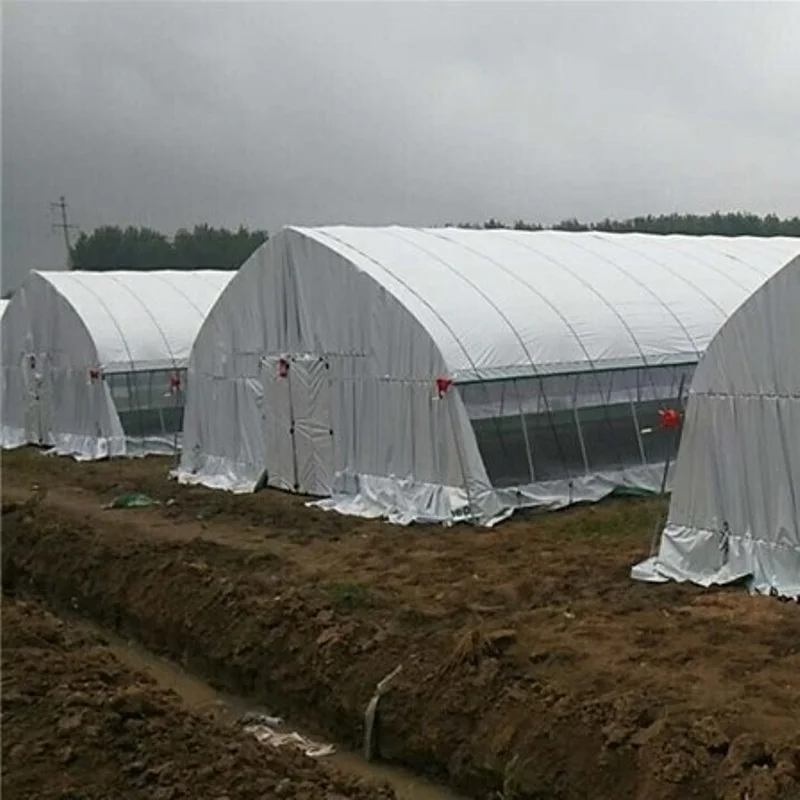 8M*30M-Vegetable Tunnel Greenhouse