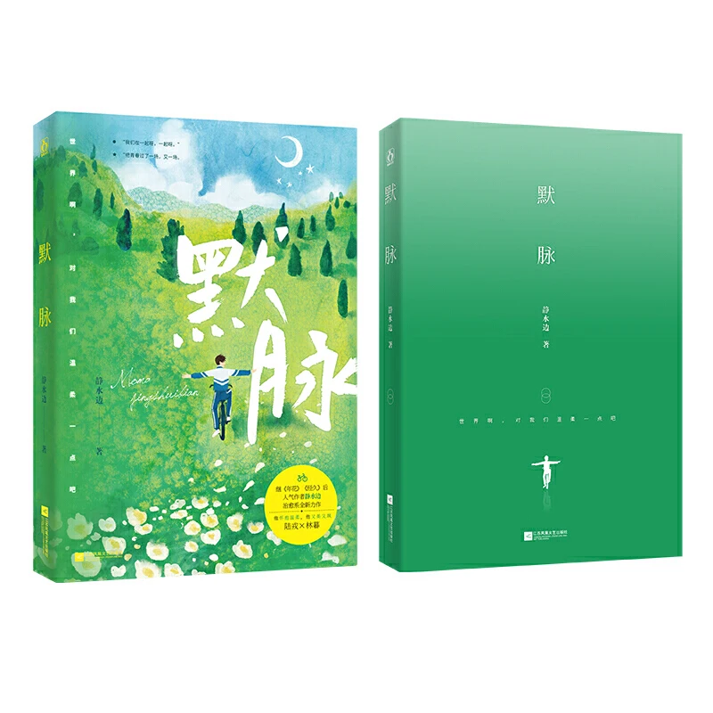 New Mo Mai Chinese Novel Vol. 1 by Jing Shui Bian Chinese Youth Urban Emotion Romance Fiction Book