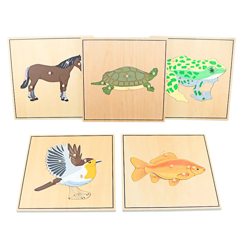 Children Educational Toys Montessori Materials Biology Wooden Skeleton Puzzle Frog Horse Tortiose Fish Bird Animal Toys for Boy