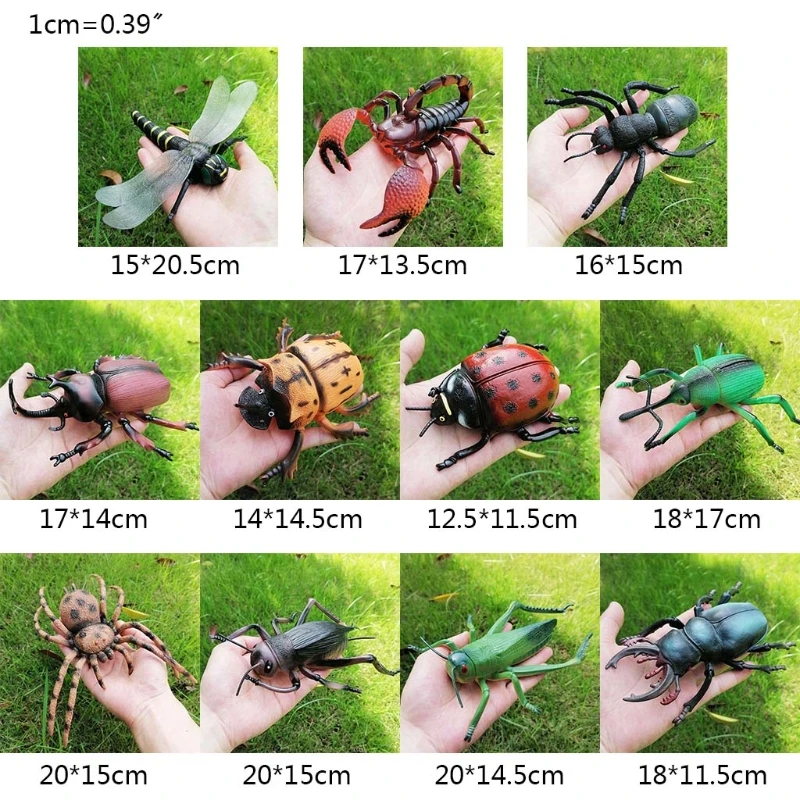 Simulation Wildlife Model Ornament Realistic Insect Figure Child Educational Toy