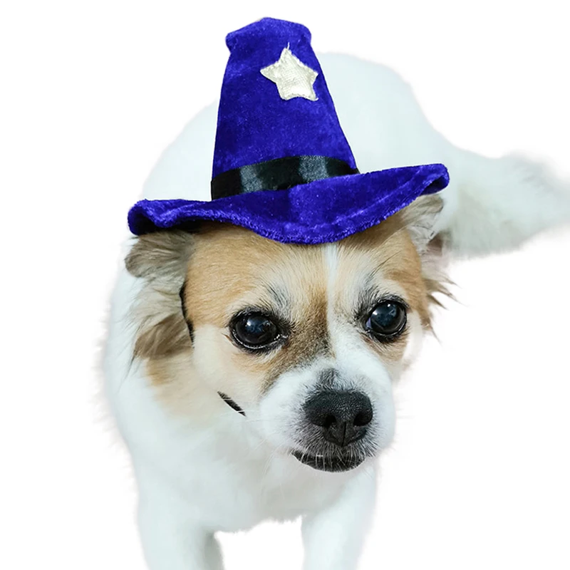 Pet Costume Hat Novelty Adjustable Pet Witch Hat Dog Headwear Halloween Purple Velour Halloween Costume Supplies Cap For Dog Cat