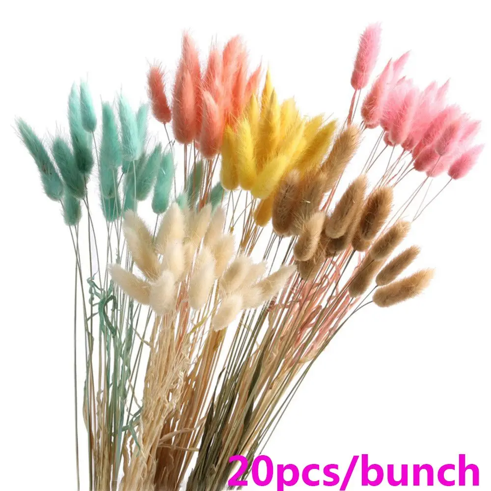 20pcs Cake Decor Natural Dried Flowers White Artificial Flowers Colorful Fake Rabbit Tail Grass Bouquet Long Bunches