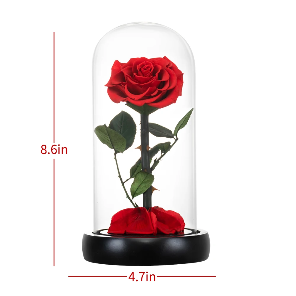Beauty and The Beast Preserved Flowers Red Eternal Rose In Glass Dome Gifts for Wedding Birthday Valentine Christmas Anniversary