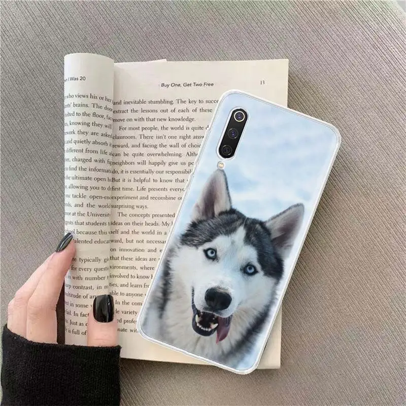 Siberian Husky Sled Dog Phone Case For Xiaomi Redmi Note 13 Pro Plus 5G Capa 12 12C 9 9T 9C 10 10C 8 7 6 10A 9A K70 K60 Pro 8A 7