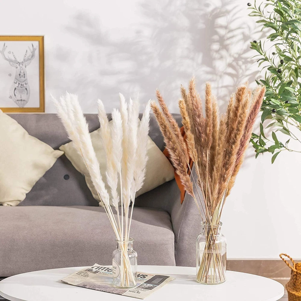 30pcs Dekoration Small Reed Natural Dried Small Pampas Grass Phragmites Artificial Plants Wedding Flower Bunch for Home Decor