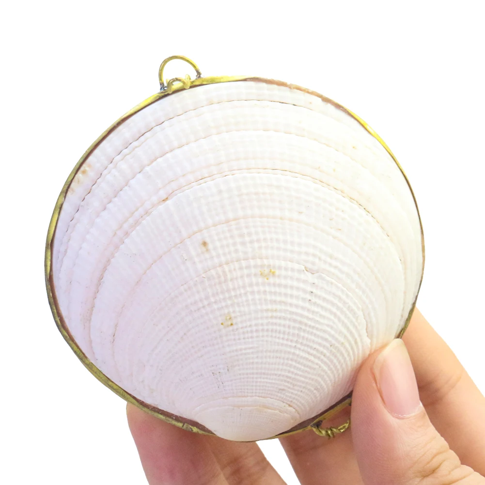 Natural Clam Shell Jewelry Organizer Box Storage Case Ring Earring Necklace Display Container Sundries Gift Wedding Ring Case