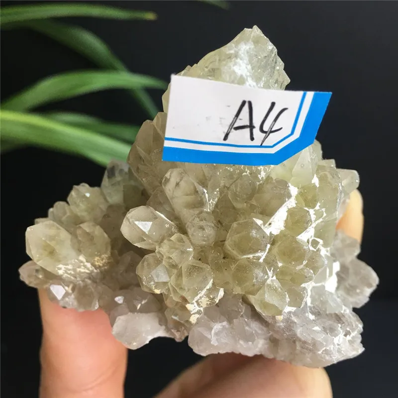 

Rare Natural Clear Crystal Quartz Pineapple Cluster Specimen