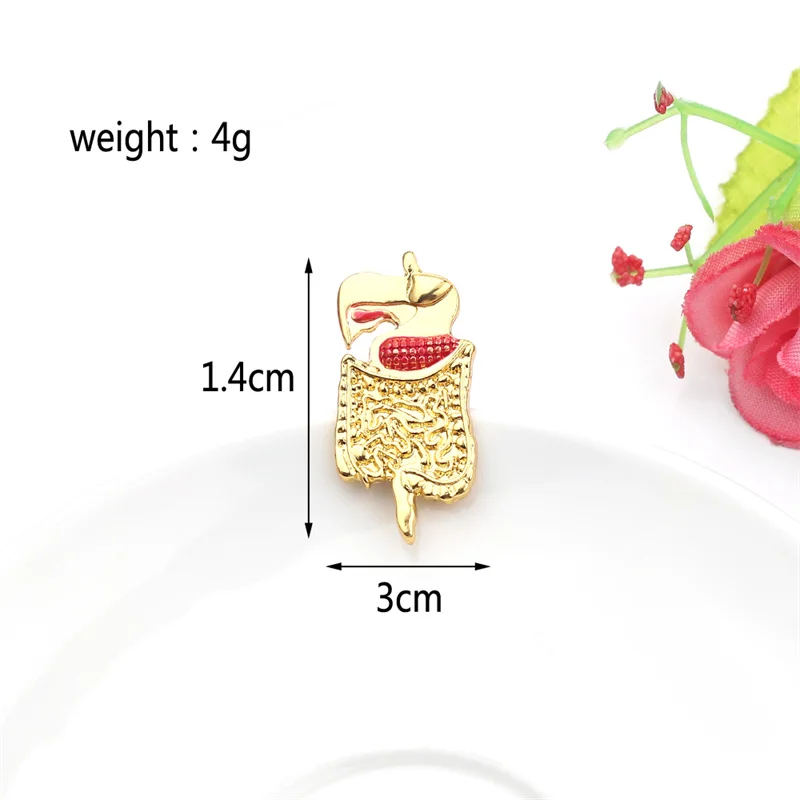 Bowels شكل بروش الذهب والفضة اللون المعدة دبوس المجوهرات الطبية للطبيب ممرضة علم الأحياء الطبية المتدرب هدية