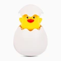 Yellow duck