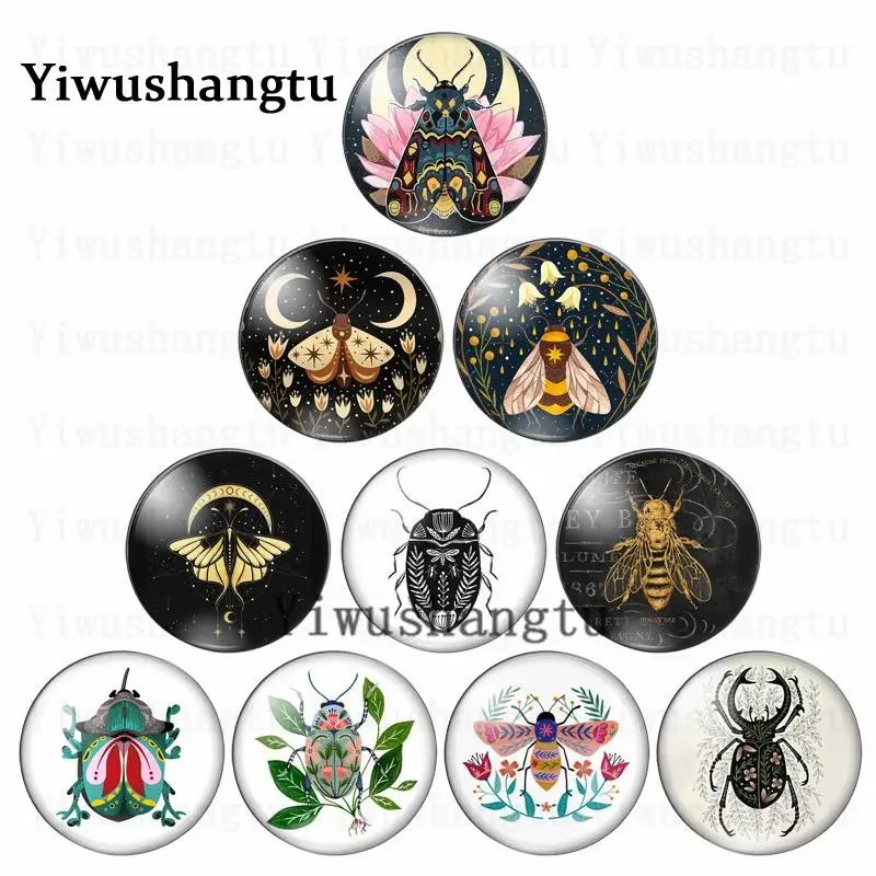 

Lovely Insects in different shapes bee dragonfly 12mm/20mm/25mm/30mm photo glass cabochon demo flat back Making findings