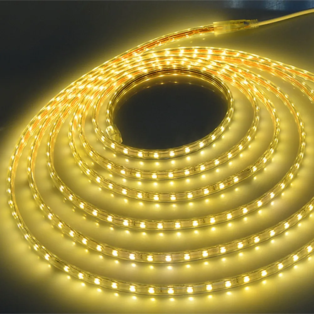 LED Strip SMD5050 220V Waterproof Flexible LED light Tape lamp Outdoor String 1M 2M 3M 4M 5M 10M 12M 15M 20M 50M 100M 60LEDs/M