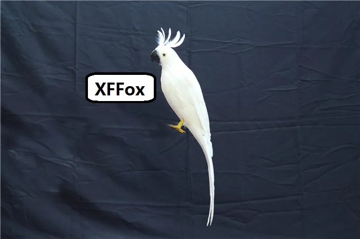 60cm Realistic Cockatoo Parrot Model Foam Feather Simulation White Bird Gift Life-like Avian Statue for Home Decor