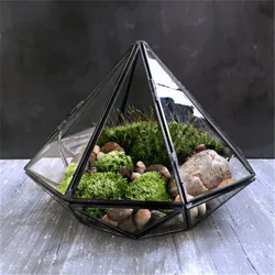 Minimalizm diamentowy kształt szklana wisząca Terrarium, lokalni tyrani czarne geometryczne szkło lutowane Terrarium obudowa dla roślin mech