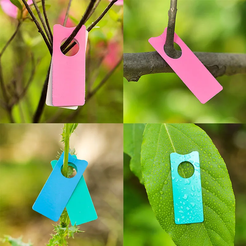 100Pcs Multifunction Plastic Melon Fruit Tags Labels Portable Plants Grape Garden  Bonsai Decoration Card Mark Grape Sign board