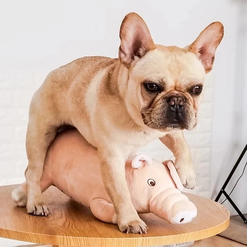 Dog Stress Reliever Sleeping Estrus Toy Male Sex Doll Vent Poodle Play Companion French Bulldog Pet Cat Exhaust Plush Pig Stitch