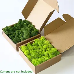 Artificial Plant Eternal Life Moss Garden Home Wedding Christmas Decoration Wall DIY Flower Micro Landscape Accessories