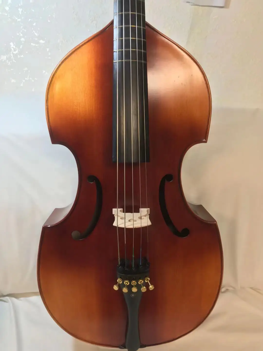 Baroque style SONG maestro Basses 5 string 27