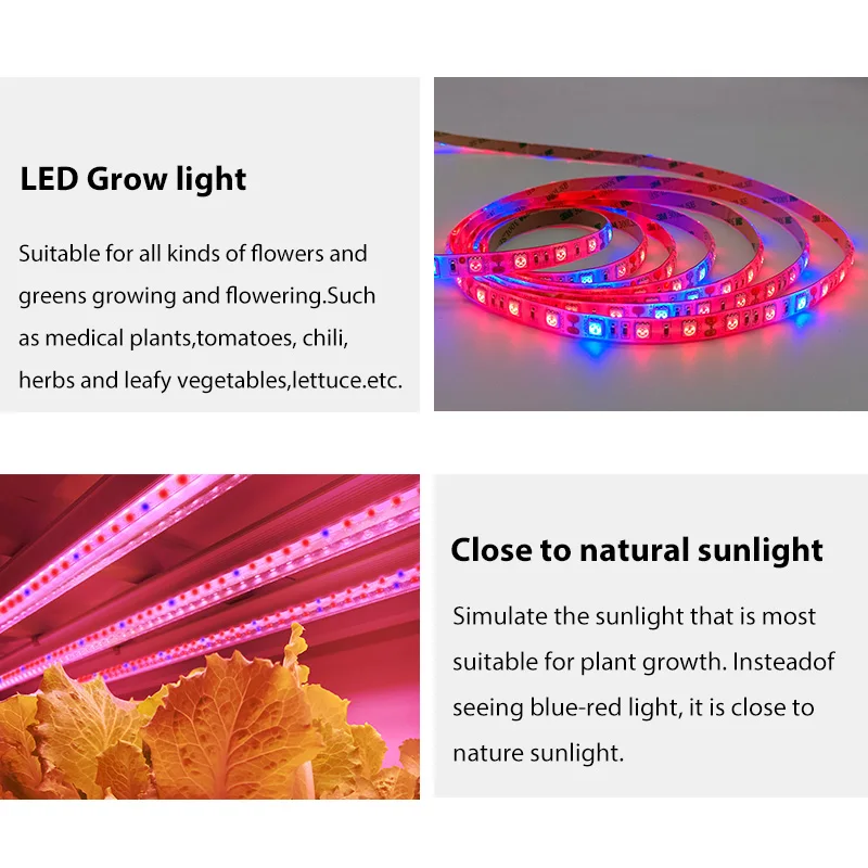 20M LED Grow Light Spectrum DC12V USB Grow Light Strip LED Phyto Lamp For Plants Greenhouse Hydroponic Growing power supply Full