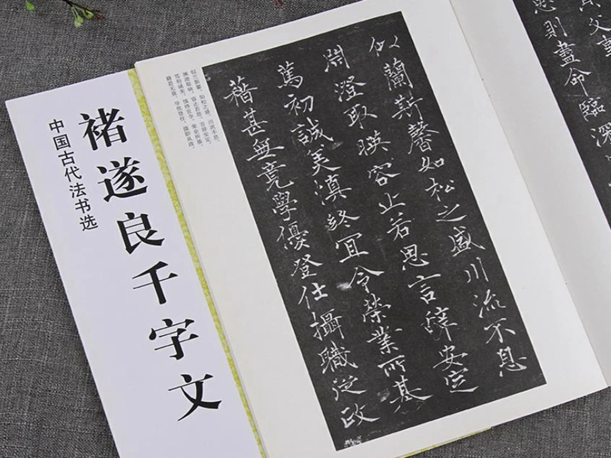 

1pc Chinese Calligraphy Book Ancient Running Script Ink Brush Chu Suiliang Qian Zi Wen Copybook