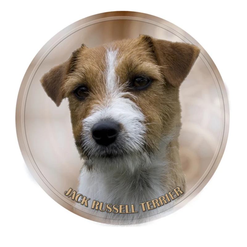 

S40389# Various Sizes PVC Decal Jack Russell Terrier Pet Animal Car Sticker For Bumper Rear Window Laptop Refrigerator Toilet