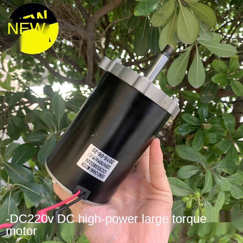 DC220V high-speed high-power speed-regulating DC motor forward and reverse silent motor high torque 4200 rpm