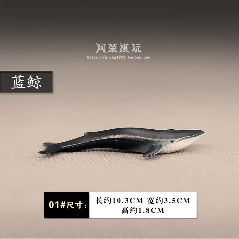 Miniature Sea World Fishes Model Great White Shark Blue Whale Dolphin Oceans Animals Figurines Decoration Fish Tank Accessories
