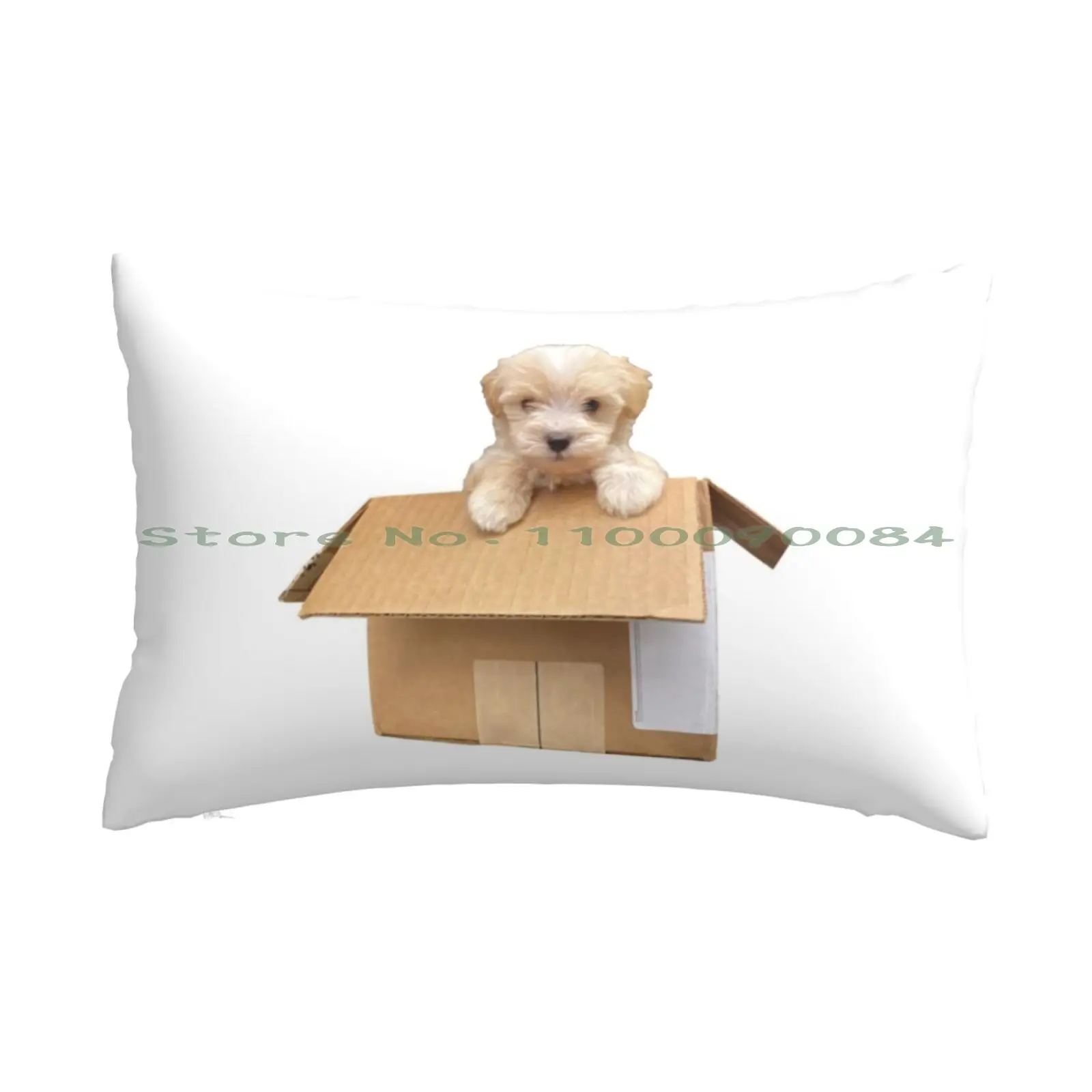 Cute Maltipoo Puppy In A Box Pillow Case 20x30 50*75 Sofa Bedroom Puppy Mini Poodle Peach Cream White Apricot Cute Cutie