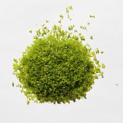 WJDG model DIY handmade building model materials tree powder tree foliage sponge with tree foliage 30g