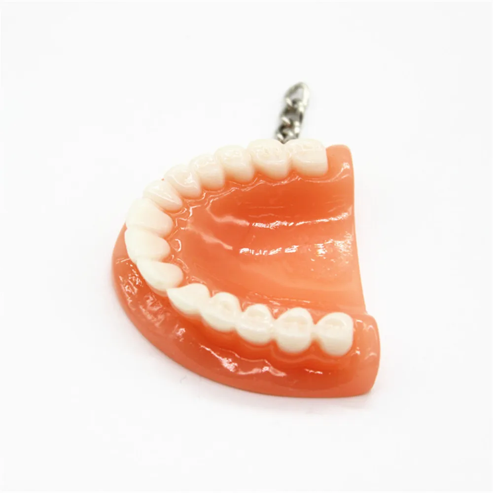 New Creative Fashion Tooth Key Chain Resin Molar Upper Jaw Model Shape Denture Keychains Pendant Keyring Dental Clinic Gift 2022