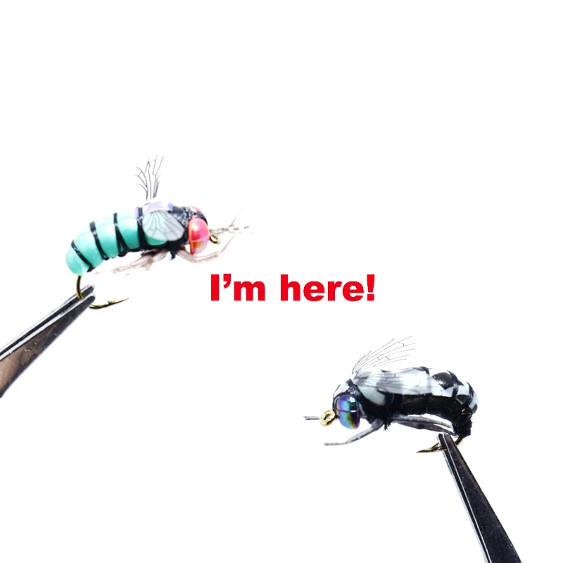 Royal Sissi ojos holográficos 3D para mosca – Ojo de libélula - imagen 2