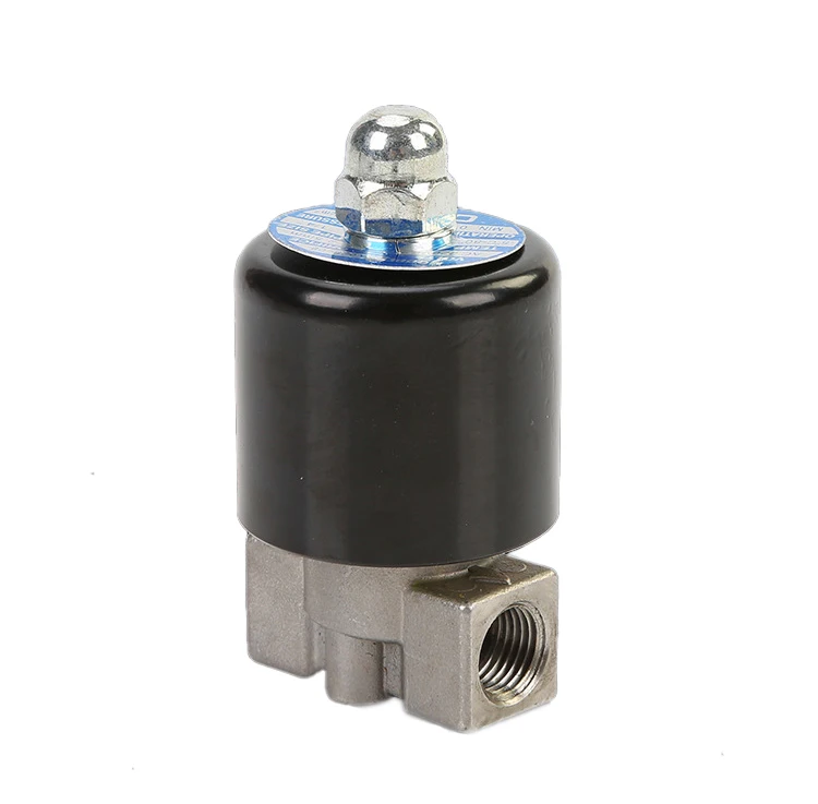 1/8" 1/4" Edelstahl-Magnetventil DN8 Normalerweise geschlossen/offen Edelstahl-Magnetventil 110V 220V 12V 24V – Detail 1