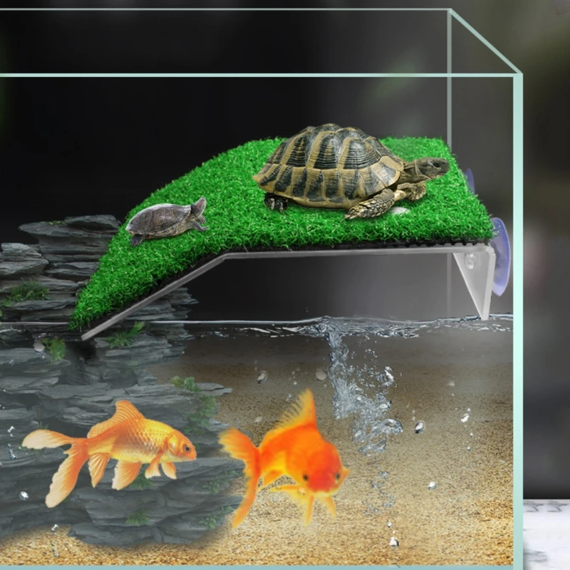 Die Raseninsel: Ein praktisches und ästhetisches Accessoire für Aquarien und Reptiliengehege