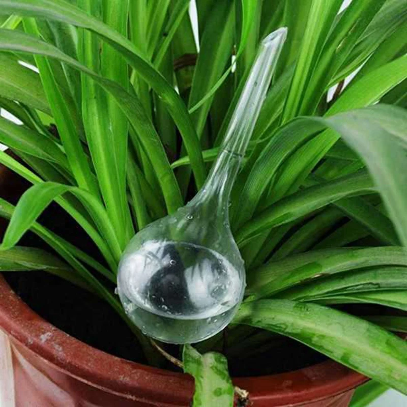 5 Pcs Automatic Watering Device Globes Vacation Houseplant Plant Pot Bulbs Garden Waterer Flower Water Drip Watering