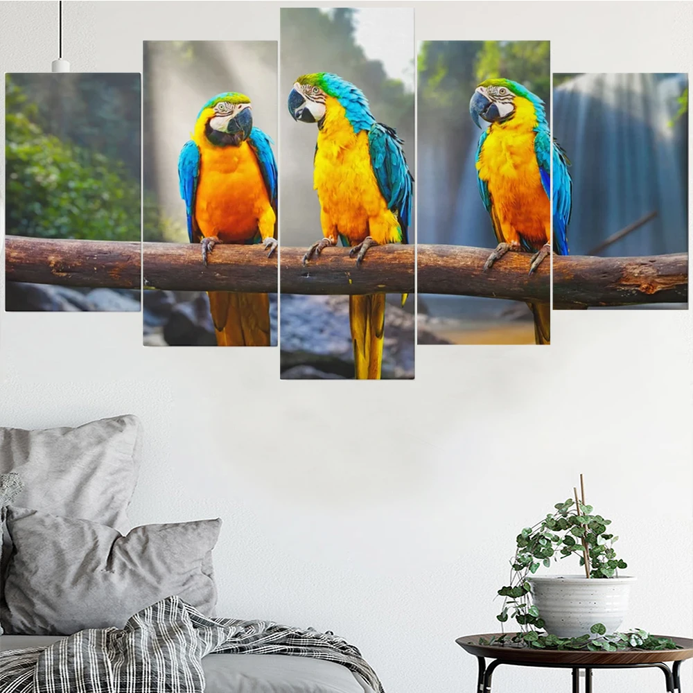 

5 Pieces Wall Art Canvas Painting Animal Poster Beautiful Macaw Modular Pictures Home Modern Living Room Bedroom Decoration