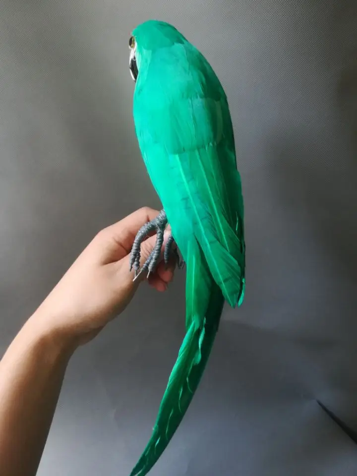 about 42cm lifelike toy parrot bird hard model foam&feathers green parrot handicraft party prop home garden decoration gift b24