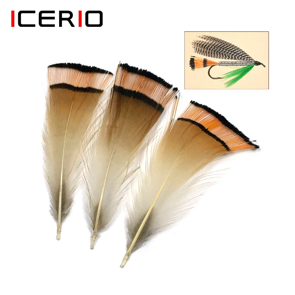 

100PCS Natural Golden Pheasant Head Feather Fly Tying Materials Used for Tails on the Royal Coachman