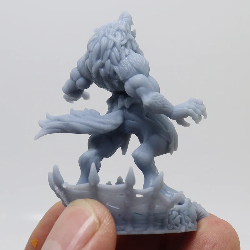 38mm 56mm Resin Model Wolf Werewolf Lord Figure Unpainted DW-005