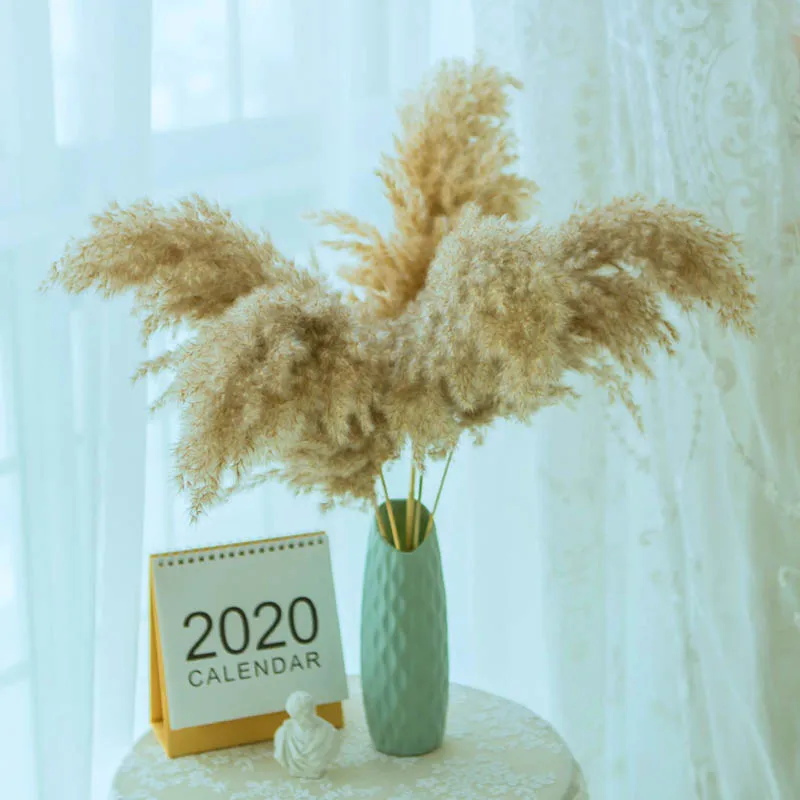 

MINI pampas grass decor plants home wedding decor dried flowers Bouquet feather flowers natural phragmites tall 17.7-19.6‘’