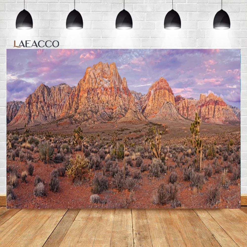 

Laeacco Tropical Desert Cactus Mountain Peak Cloudy Photocall Background Baby Customized Poster Portrait Photographic Backdrops