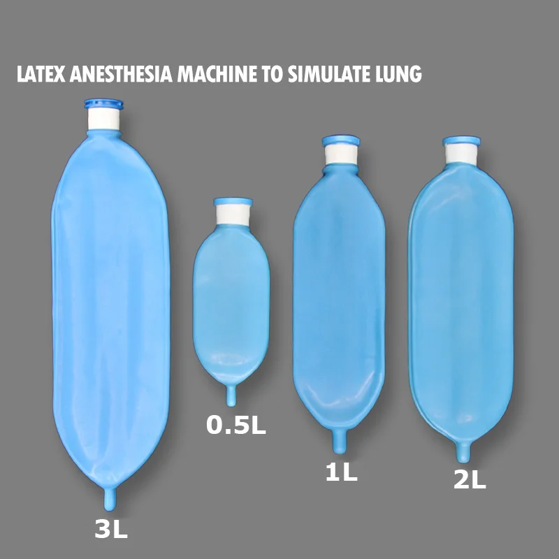 0.5L 1L 2L 3L Ventilator Simulated Test Lung Latex Material Breathing Bag Reservoir Bag Anesthesia Machine Respirator Sac
