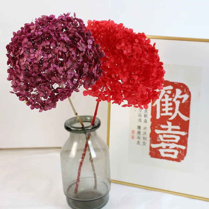 Christmas Natural Dried Flowers Preserved Hydrangea Branch Head Can Be Matched With Valentines Day Gifts Edding Decoration