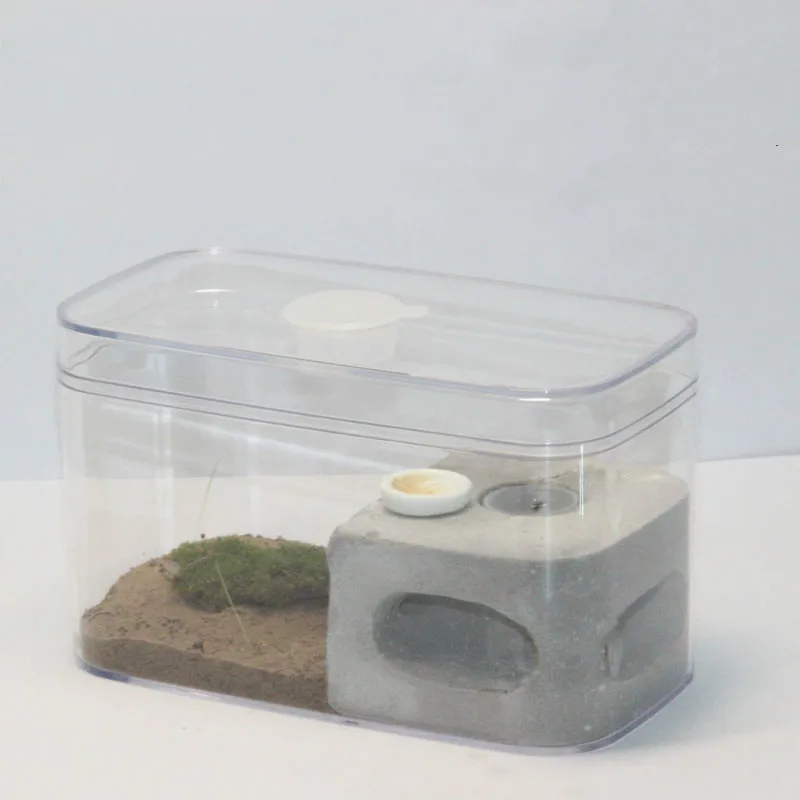 Living Ant Student Science Course Observation Diary Ant Home Castle Ant Workshop Insect Box Ant Nest