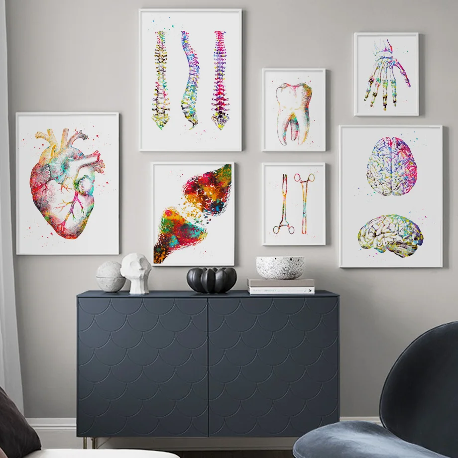 

Anatomy Art Human Heart Brain Lungs Wall Art Canvas Painting Nordic Posters And Prints Wall Pictures For Doctor Office Decor