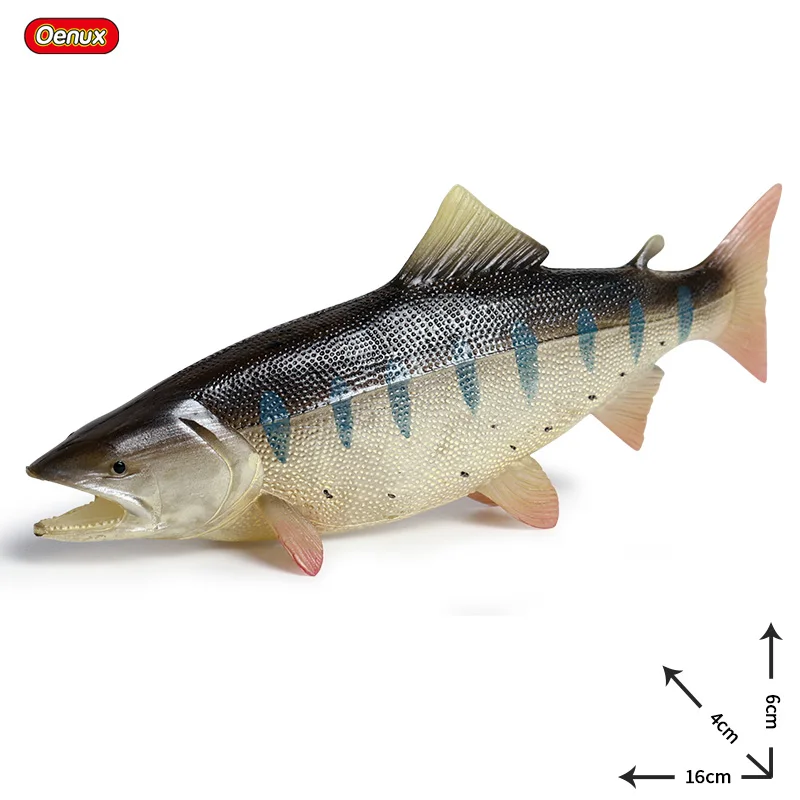 Oenux 海の魚動物モデルシミュレーション sealife シーラカンス