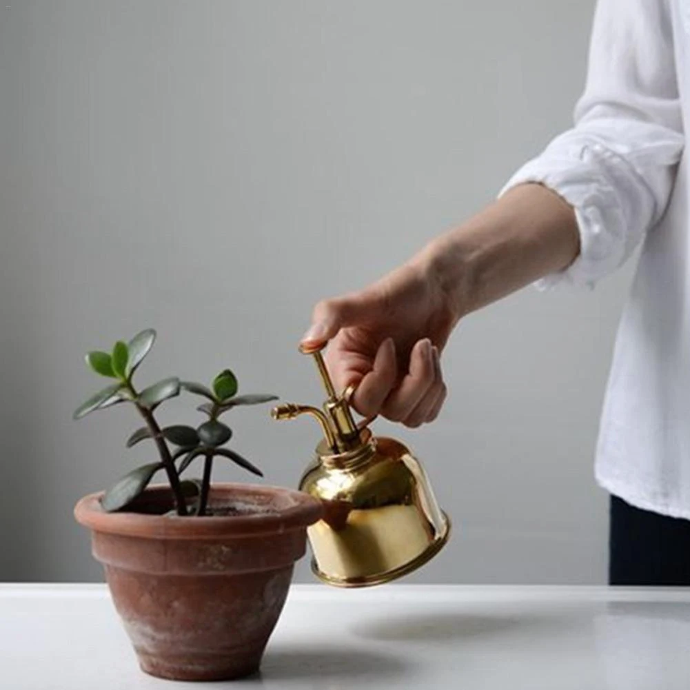 Vintage mosiądz konewka butelka wody ze stali nierdzewnej prawdziwy kwiat sukulenty bonsai spray zraszanie może narzędzie ogrodowe