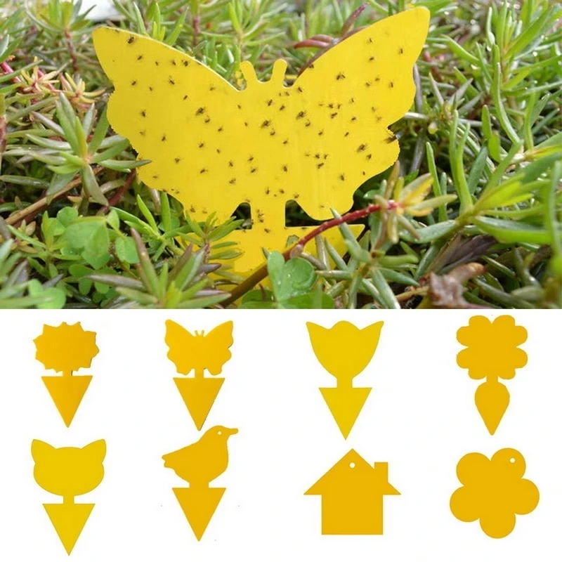 12PC Strong Yellow Sticky Traps Fruit Fly Bugs Sticky Board Lndoor/Outdoor Use Dual-Sided Lnsect Mosquito Moth Flying Trap