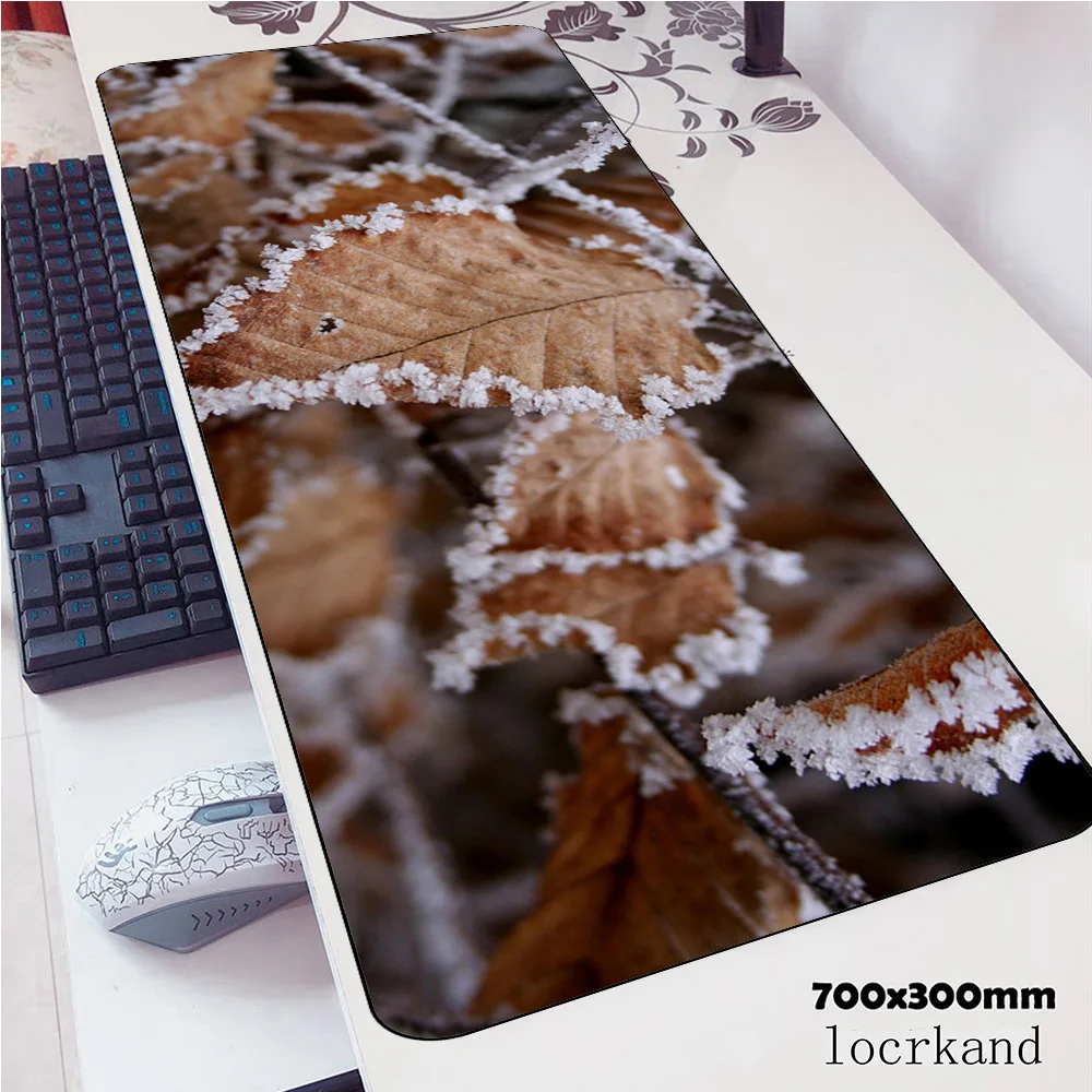 Winter Earth mousepad best seller gaming mouse pad pc computer 800x300x3mm gamer accessories mat laptop desk protector pads