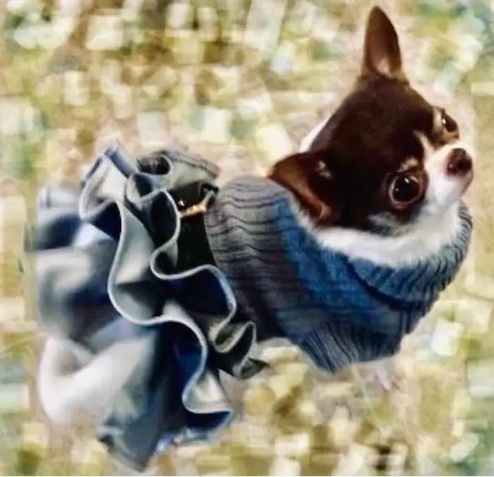 Turtleneck Knitted Sweater for Small Dogs, Dog Dresses, Cat Tutu Skirt, Warm Clothes, Autumn Coat, XS, S, M, L, XL