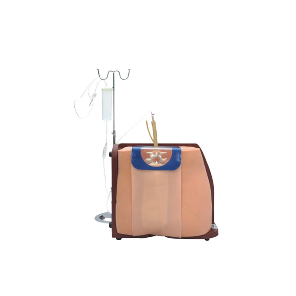 Lumbar Puncture Simulator Spinal and Epidural Anesthesia Clinical Training Model
